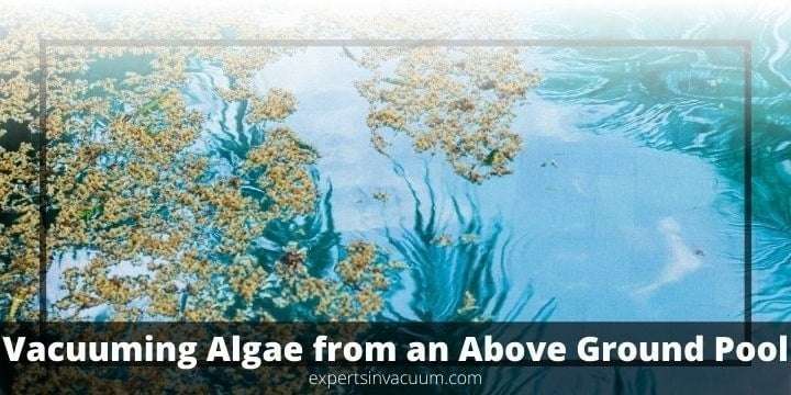 How do you Vacuum Algae from an Above Ground Pool