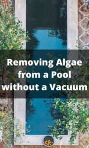 How to Remove Algae from a Pool without a Vacuum