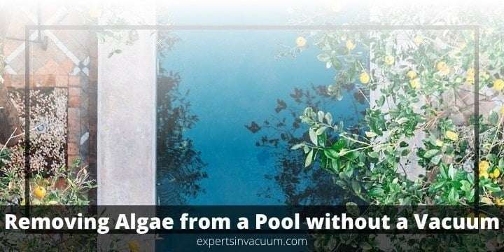 How to Remove Algae from a Pool without a Vacuum