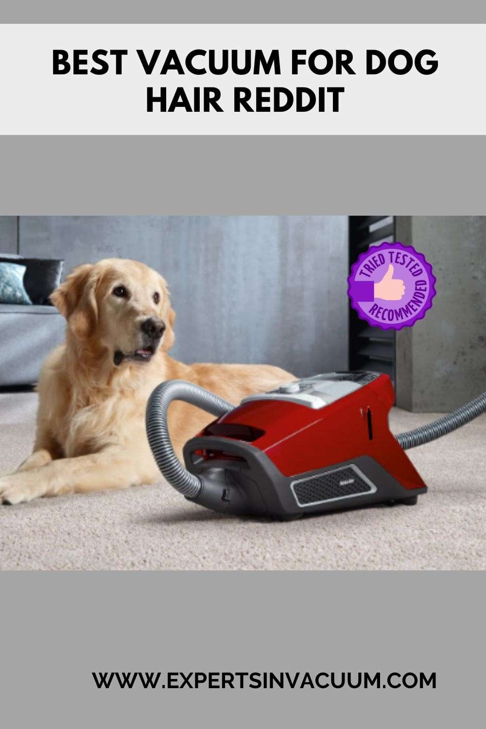Best Vacuum For Dog Hair Reddit Experts in Vacuum