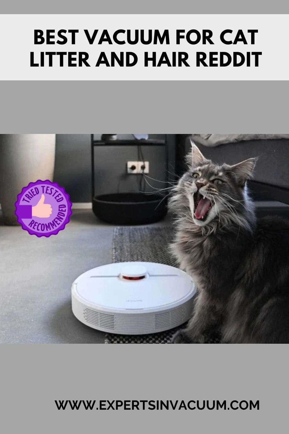 Best Vacuum for Cat Litter and Hair Reddit Experts in Vacuum