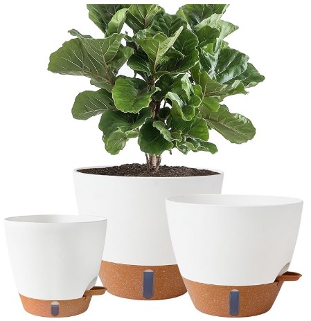 Self-Watering Planters that actually look like Designer Ceramic 6 8/10/12 Inch Self Watering Pots for Indoor/Outdoor Plants - Large Plastic Planter with Drainage Holes, Water Level Indicator & Deep Reservoir, Modern Decorative Flower Pots (White)