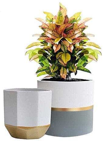 Self-Watering Planters that actually look like Designer Ceramic 5 LA Jolie Muse White Ceramic Flower Pot Garden Planters 6.7 Inch Pack 2 Indoor Plant Containers with Gold and Grey Detailing