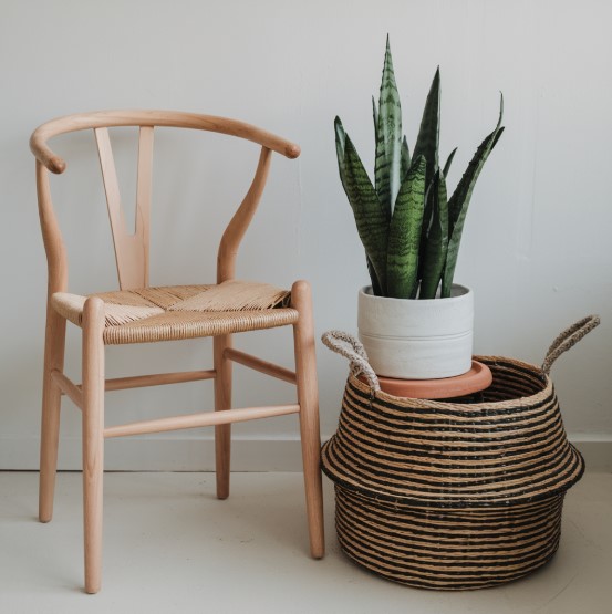 16 Zero-Waste Home Décor: Create an Eco-Friendly Space Effortlessly