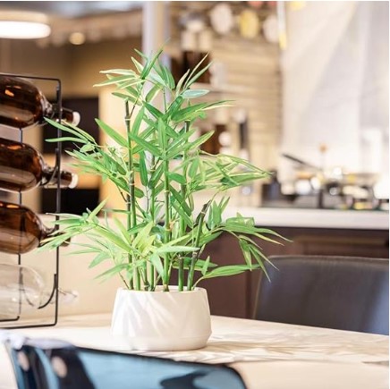 365 Blooming Decor 18 inch Tall White Potted Faux Bamboo Plant- Luxury Artificial Bamboo Tree in White Pot for Home, Office, Kitchen, Counter Top, Indoor Decor, Money Tree, Lucky Bamboo Tree.