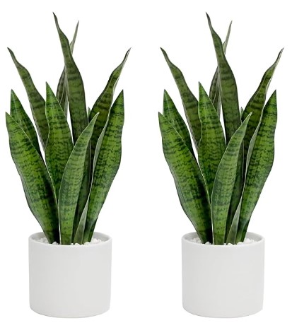 Faux Plants, Artificial Plant