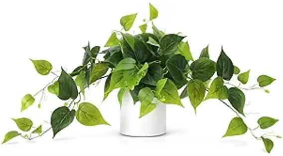 Faux Potted Plant - Fake Pothos Decorative Plants with White Ceramic Pot for Desk Shelf Bathroom Living Room Decor - Fake Plant for Home Office Decor Indoor Outdoor