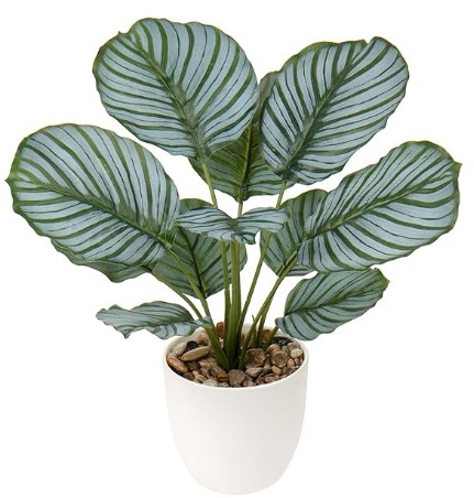 Briful 18'' Tall Fake Plant Realistic Faux Calathea Plant Artificial Plant for Home Decor Indoor Fake House Plant in White Pot for Living Room Bathroom Kitchen