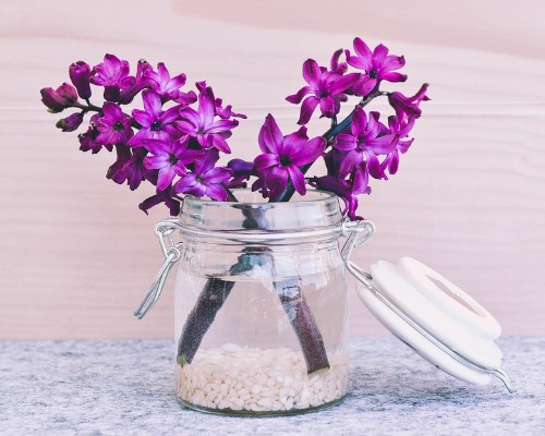 23 Spring Home Décor Ideas That Won’t Cost a Fortune