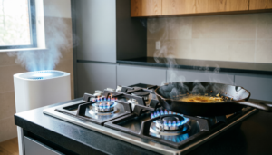 HOME 5 The Invisible Smoke: Why cooking on gas stoves requires active filtration